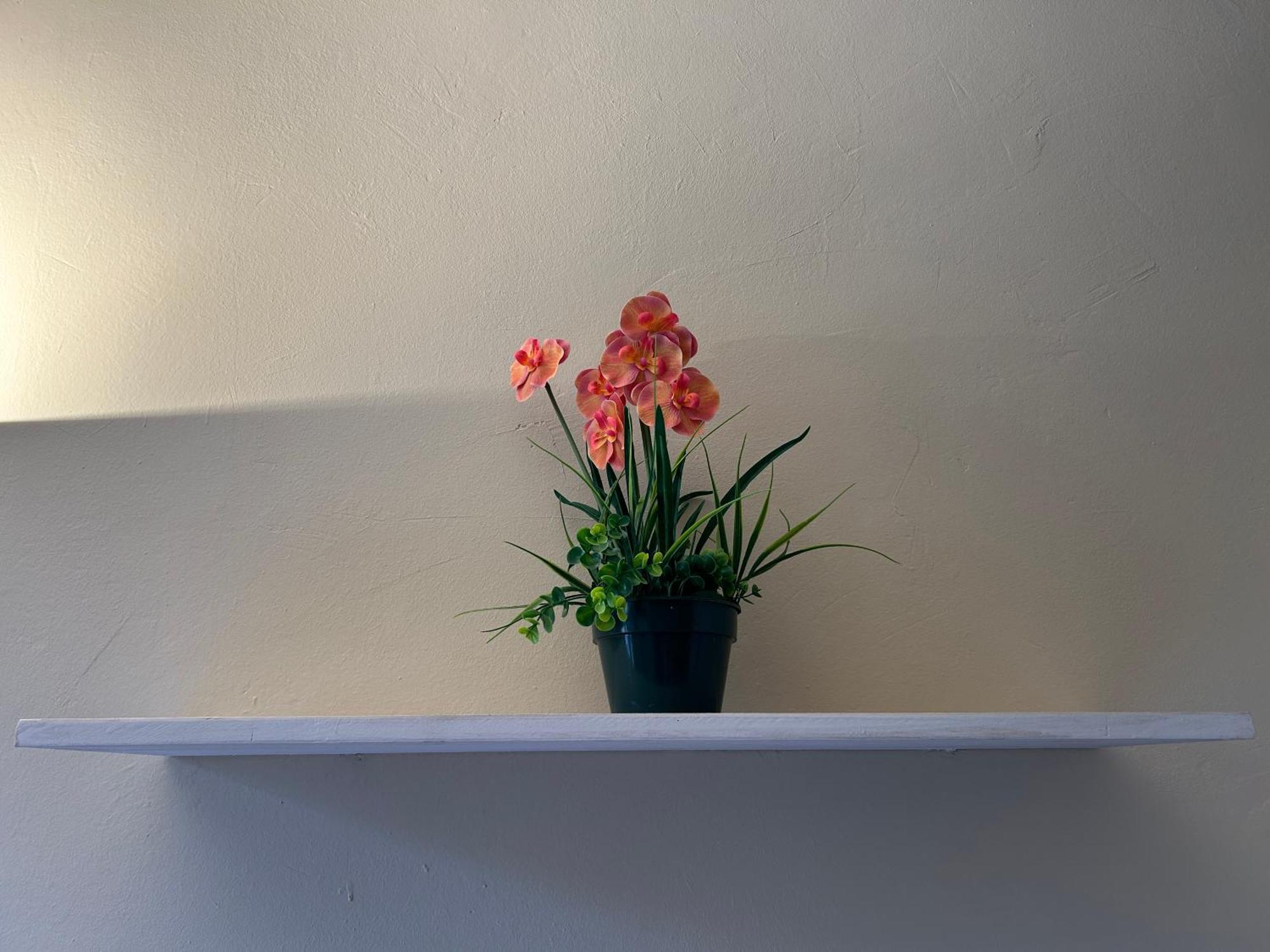 Appartamento Firenze Mayer 外观 照片